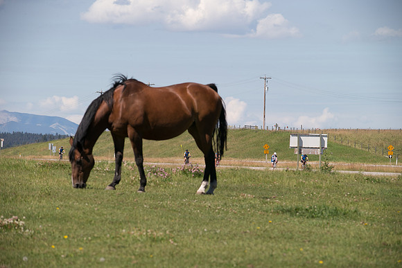 DAY 1 - ROUTE 4 - TheRideAB - Alberta Cancer Foundation-284