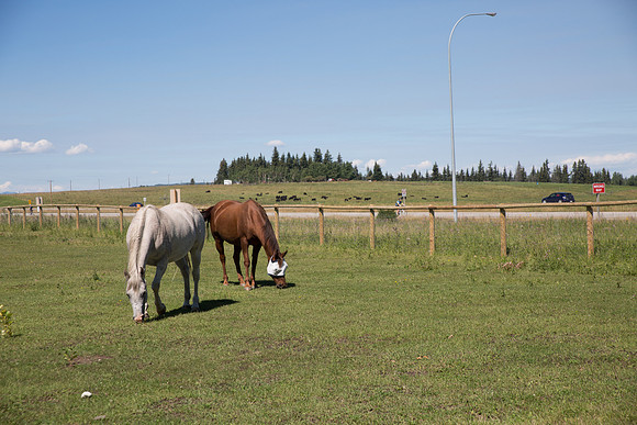 DAY 1 - ROUTE 4 - TheRideAB - Alberta Cancer Foundation-282