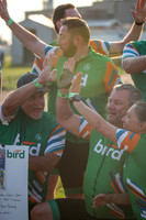 bird-28