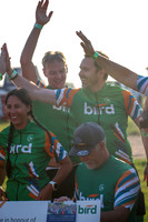 bird-37