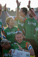 bird-30