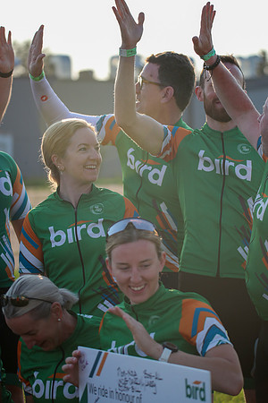 bird-30