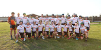 PwC-8