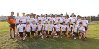 PwC-7