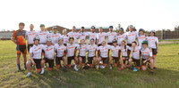 PwC-2