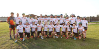 PwC-3