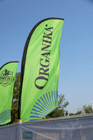 ORGANIKA-6