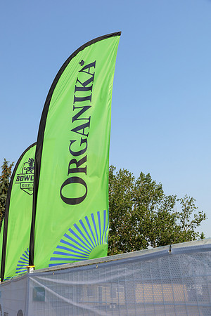 ORGANIKA-5