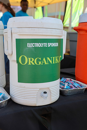 ORGANIKA-8