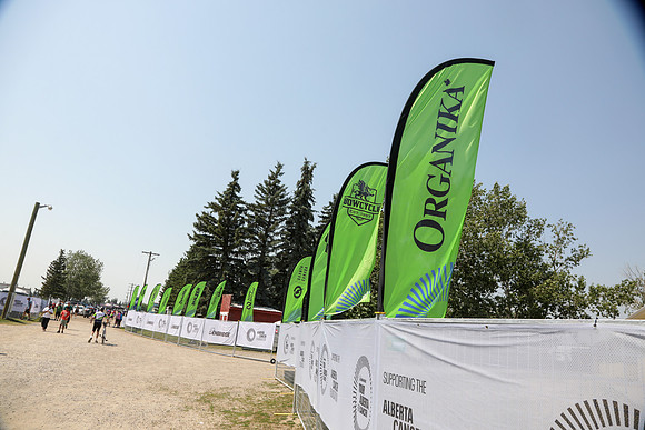 ORGANIKA-15