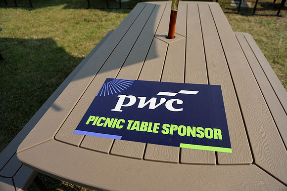 PWC-133