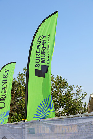 SURERUS-MURPHY-2-8