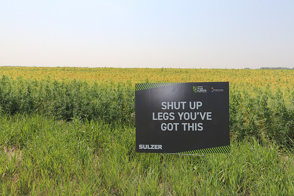 -SIGNAGE-ROUTE-223