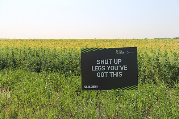 -SIGNAGE-ROUTE-225