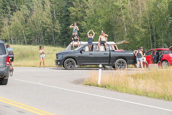 D2 ROUTE -C3-TheRideAB-23272