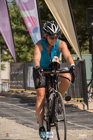 D1 ROUTE -TheRideAB-5393