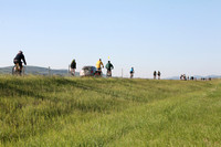 2015-TheRideAB--16
