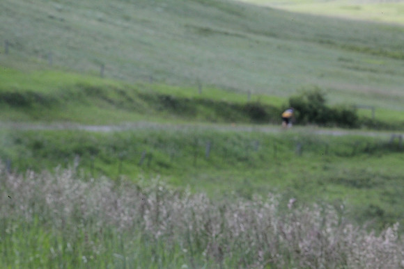 2010-TheRideAB-0864