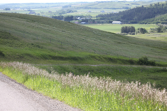 2010-TheRideAB-0865