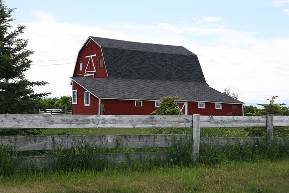 2010-TheRideAB-4074