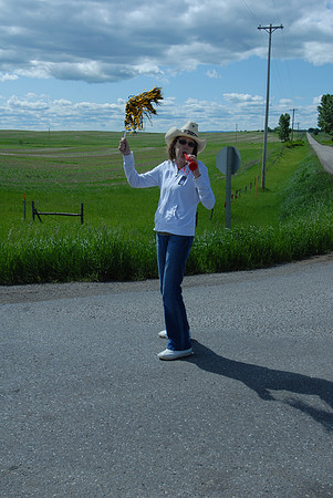 2011-TheRideAB-47