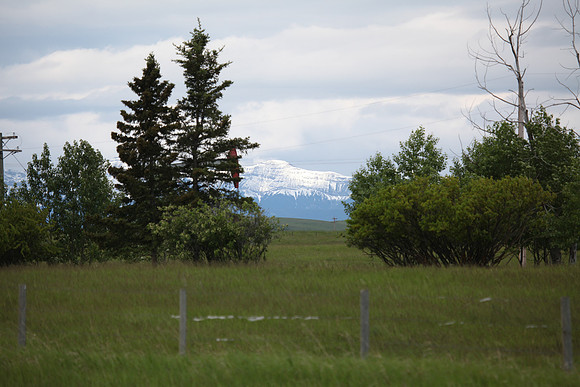 2011-TheRideAB-110