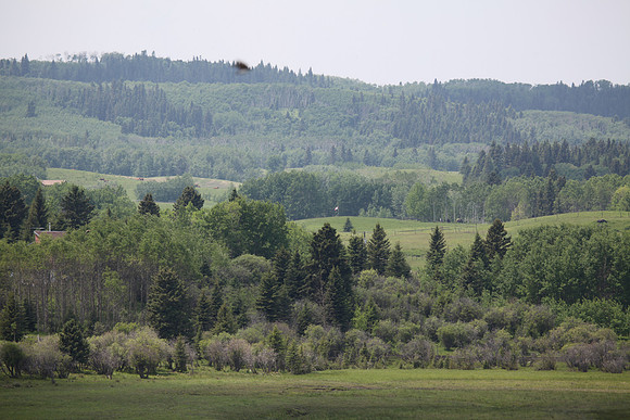 2011-TheRideAB-1668