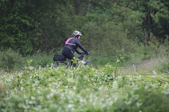 2012-TheRideAB-2651