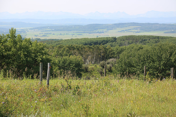 2013-E-TheRideAB-97