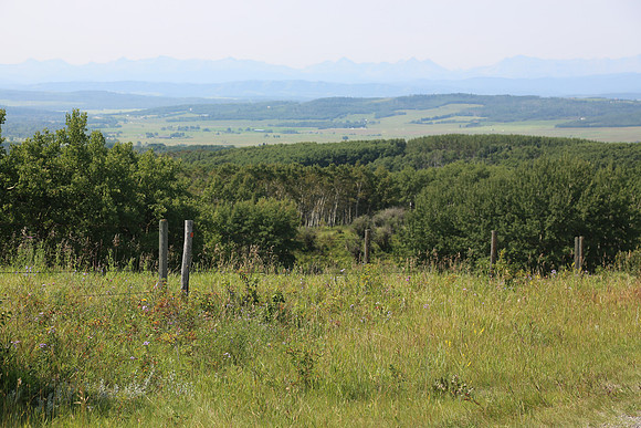 2013-E-TheRideAB-96