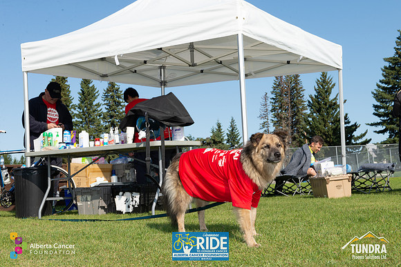 RIDERS + CHEERERS @ PITSTOPS-113